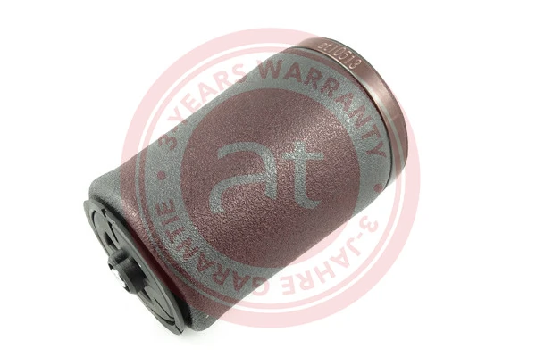 Air Spring, suspension